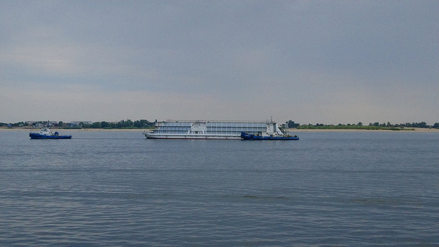 DSC-7271