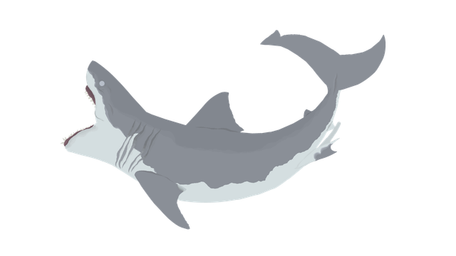 SHARKYARKY