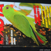 IMG-7799