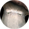 Mushpoier-XS.png