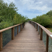 IMG-2558