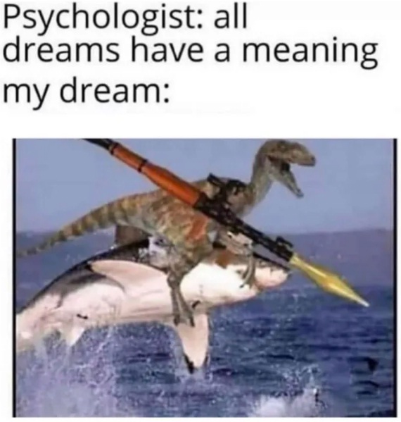 rex.jpg
