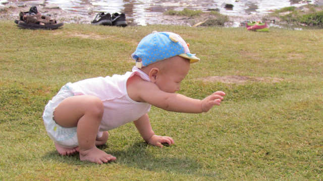 IMG 0395.jpg