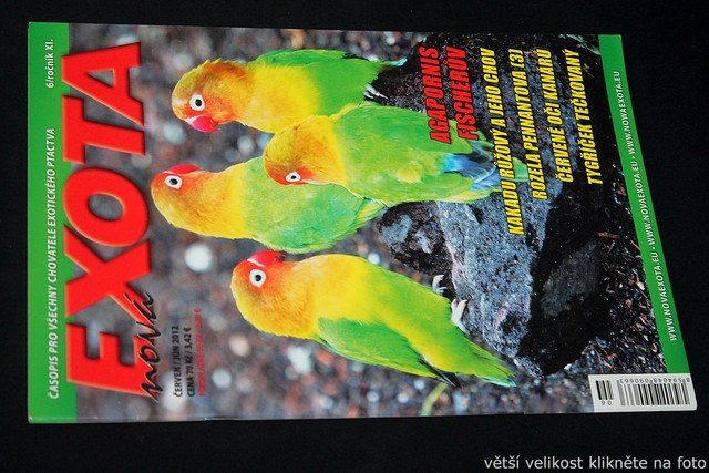 IMG-7783