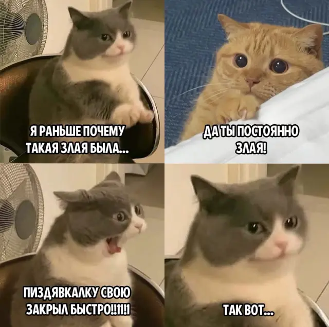 106itnx-Nb-PY