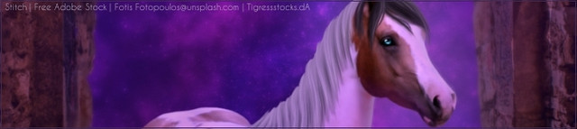 Untitled473.jpg