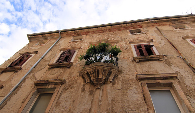 IMG-9700.jpg