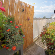 IMG-7827