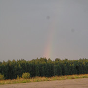 DSC01113