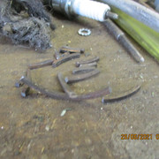 IMG-5535
