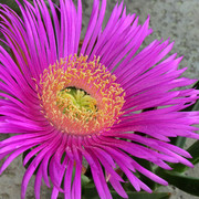 IMG-7837