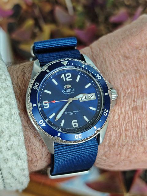 1737464248221.jpg