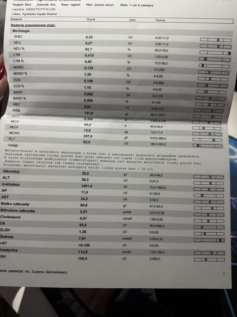 IMG-3736