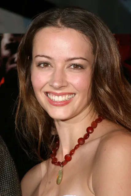 Amy Acker.webp