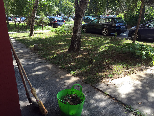 IMG-7246.jpg