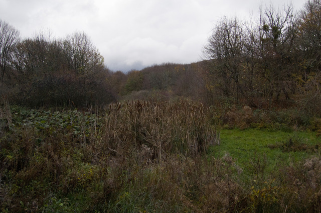 DSC6260
