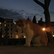 Photo1157-2