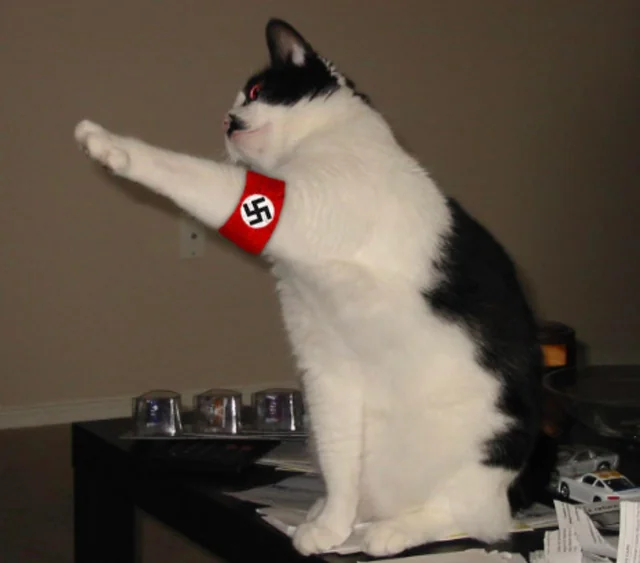 b2qzy3myjke61.webp