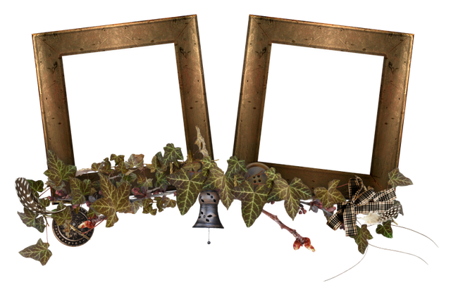 cluster-frame-50