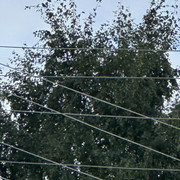 IMG 4938