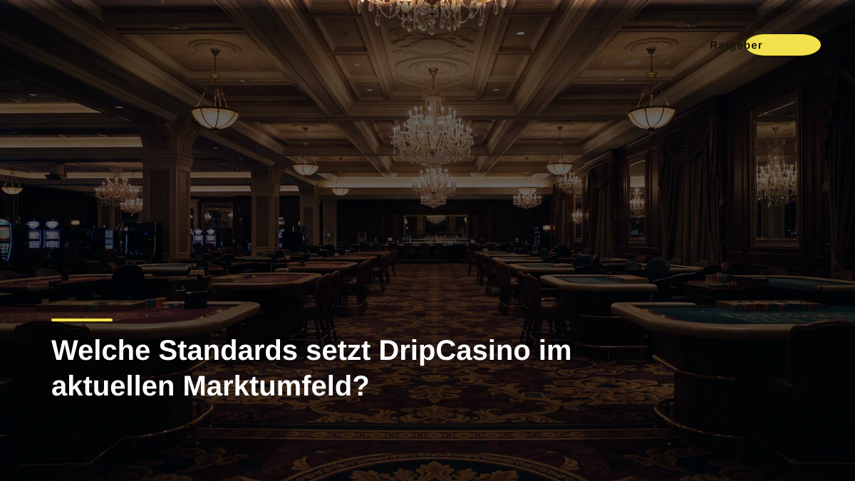 Welche Standards setzt DripCasino im aktuellen Marktumfeld?