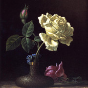 The-White-Rose