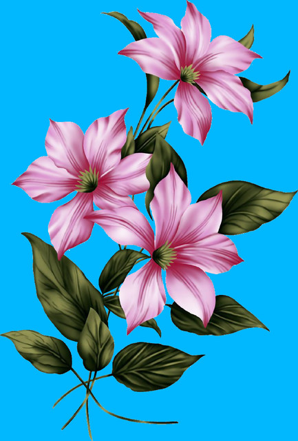 shutterstock 2523459385.jpg