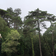 Parque e Palácio de Monserrate (38)