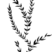 c09d00f2c44c5afeafca9f658d091c53