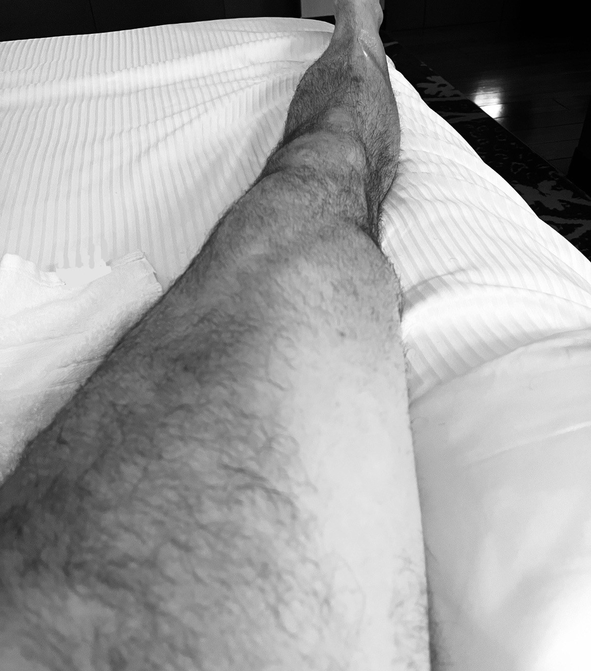 IMG-6223.jpg
