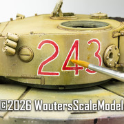 Afrika Tiger 117