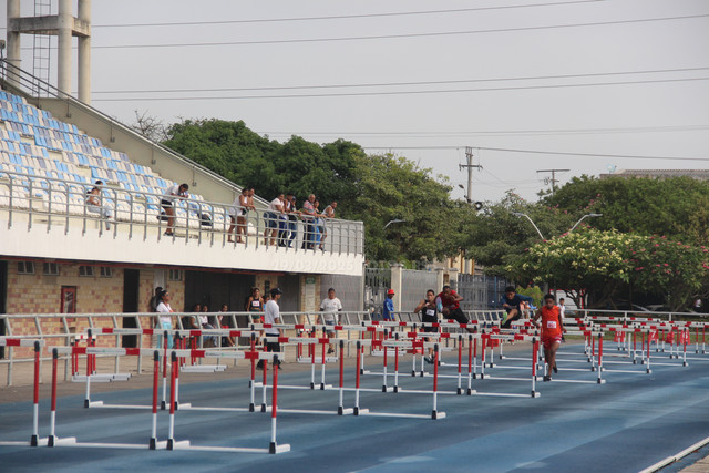 IMG-0029.jpg