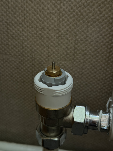 IMG-0379