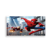 704189-Homem-Aranha-Ana