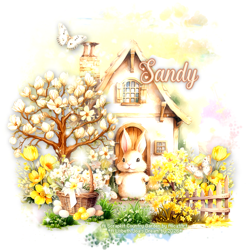 Sandy 94ºBanner.png