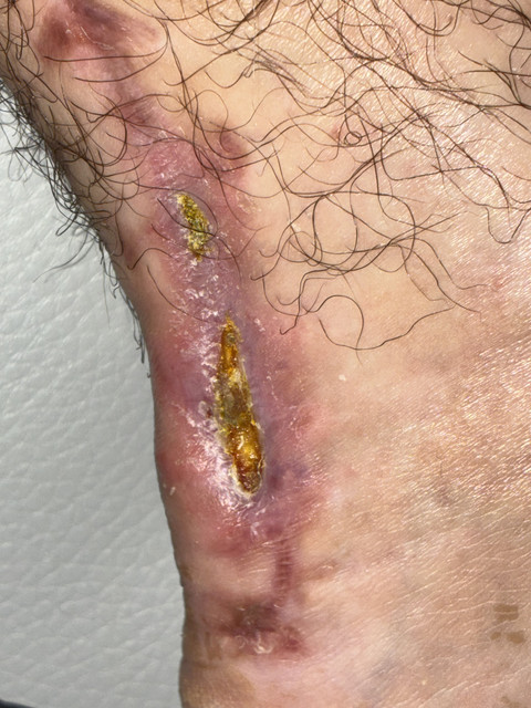 IMG 4523