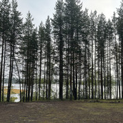 IMG 5567