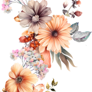 f3678eb4c17bb4e3824bcdf31ad94e2e