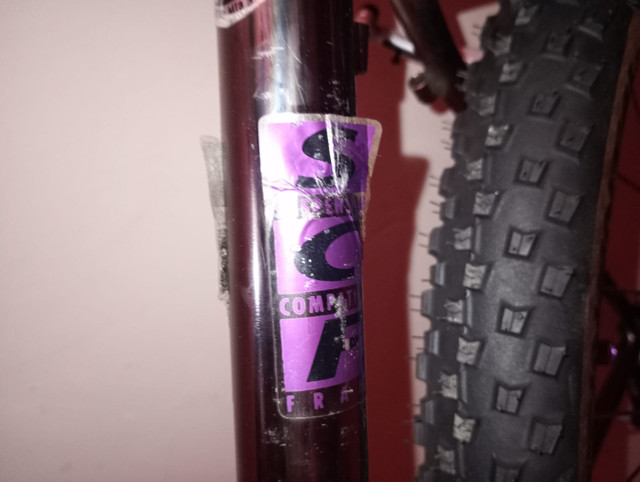 Decal-SCF-avant
