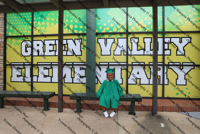 IMG 3884