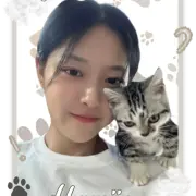 Haewon-Bot-Template8-20250428180115