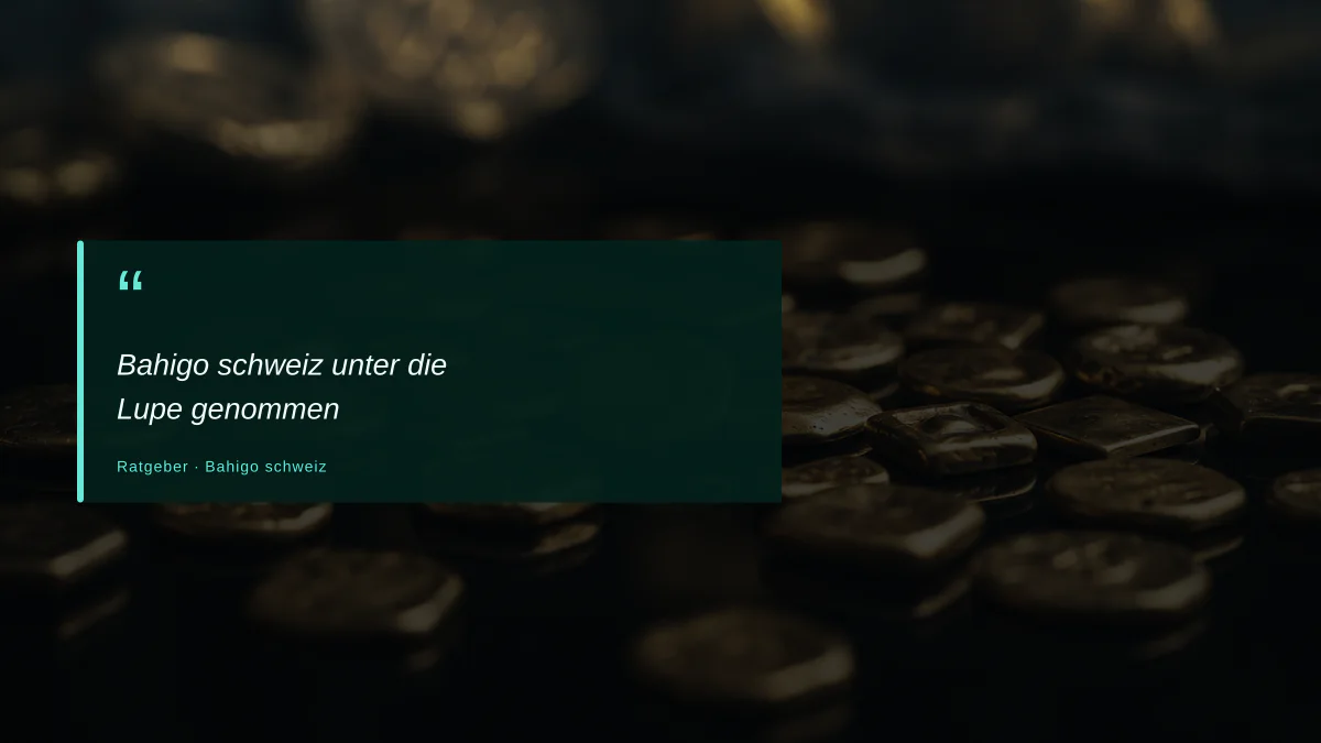Bahigo schweiz unter die Lupe genommen