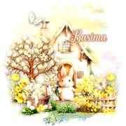 Basima 94ºBanner