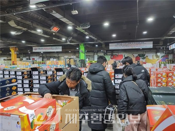 서귀포시, 상품외감귤 추적 도매시장 불시 단속 … 1.2톤 적발