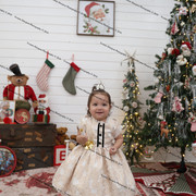 IMG 4238