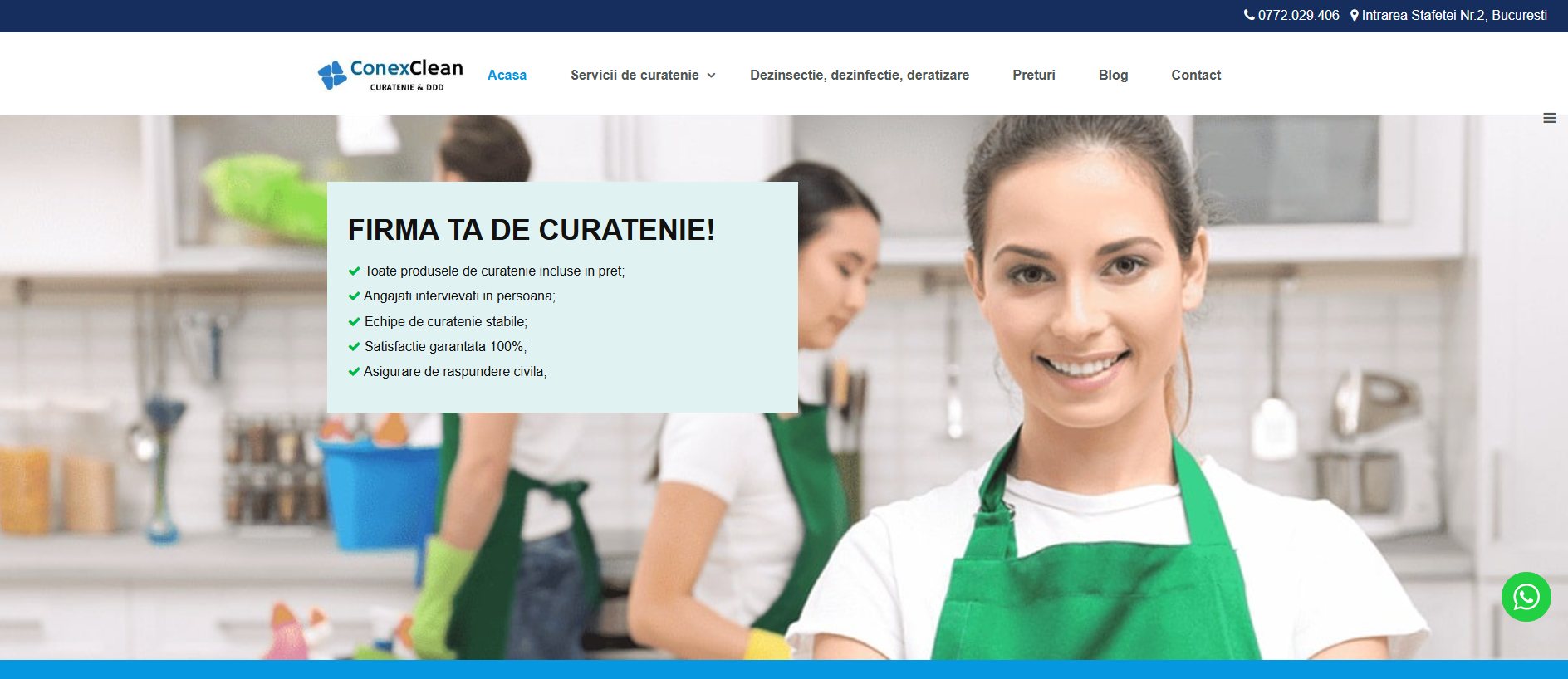 Screenshot of conexclean.com