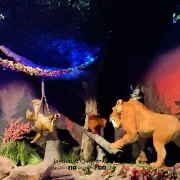 Skyworld12