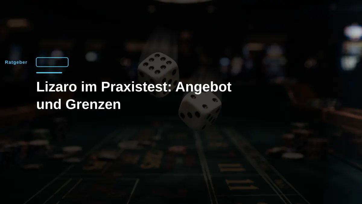 Lizaro im Praxistest: Angebot und Grenzen