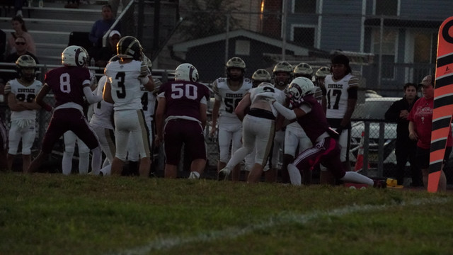 DSC08678.jpg
