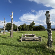 IMG-8705